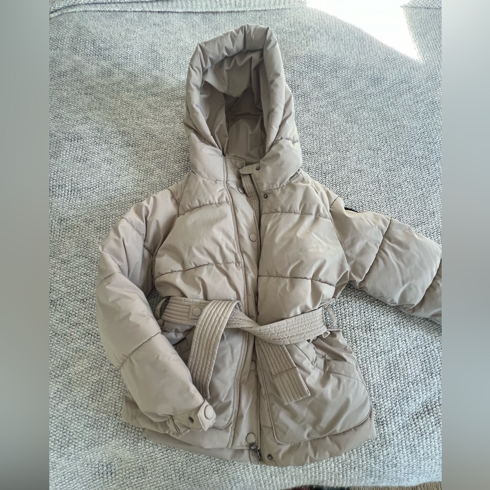 Hooded puffer